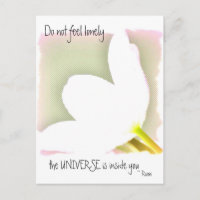 Citação Rumi Tulipa Pontilhada