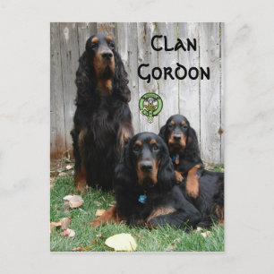 Cartão Postal Clan Gordon, Gordon Setter Generations Postcard