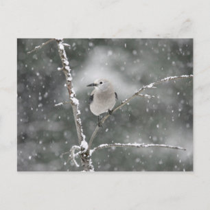 Cartão Postal Clark's Nutcracker