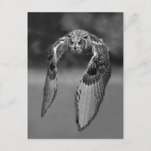 Cartão postal clássico