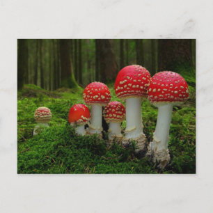 Cartão postal clássico