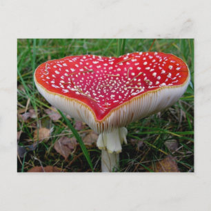 Cartão postal clássico