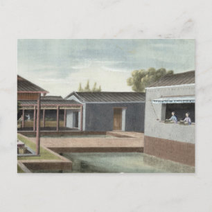 Cartão Postal Classificando chá (a/l sobre papel) 2