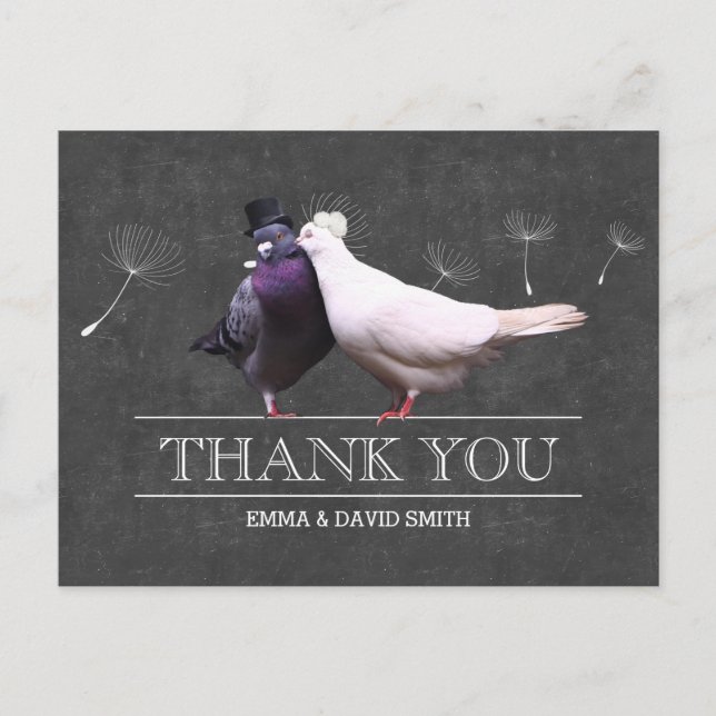 Cartão Postal Classy Chalkboard Mr e Mrs Birds Obrigado (Frente)