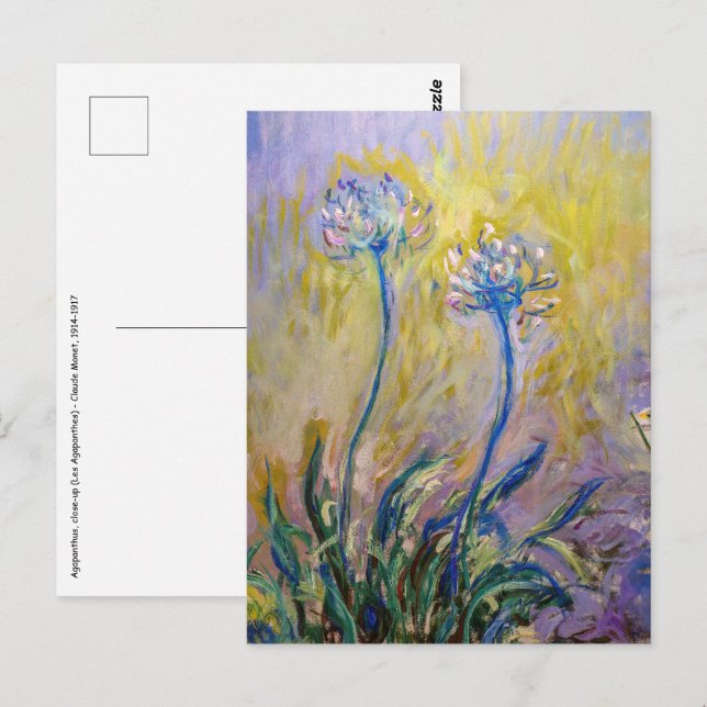 Cartão Postal Claude Monet - Agapanthus (Frente/Verso)