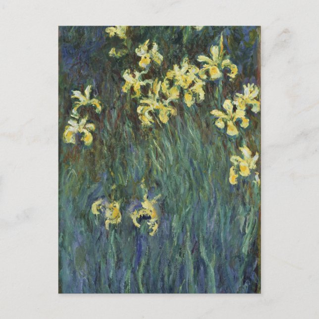 Cartão Postal Claude Monet - Íris Amarelos (Frente)