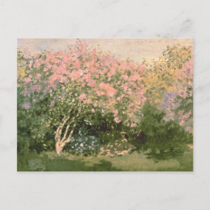 Cartão Postal Claude Monet Lilac no Sol, 1873