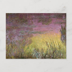 Cartão Postal Claude Monet   Lírios solares, 1915-26