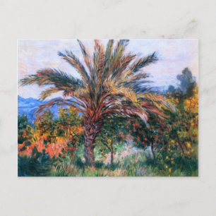 Cartão Postal Claude Monet: Palm Tree em Bordighera