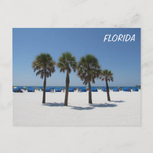 Cartão Postal Clearwater Beach FL