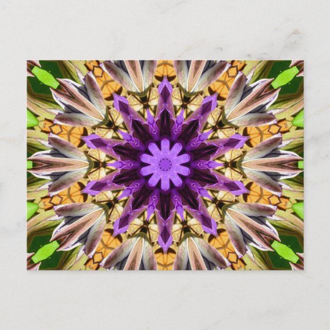 CARTÃO POSTAL CLEMÁTICA (Frente)