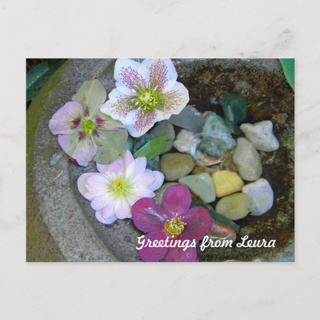 Cartão postal Clematis (Frente)