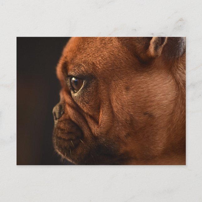 Cartão Postal Clementina (Frente)