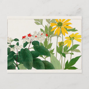 Cartão Postal Clerodendrum thomsoniae, Rudbeckia, Tanigami Konan