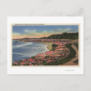 Cartão Postal Cliff Drive View of Ocean, Beach, & Flowers