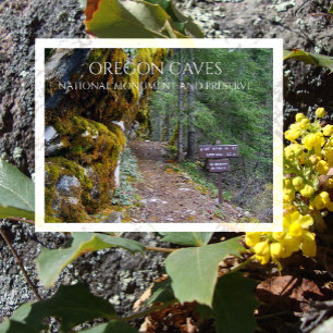 Cartão Postal Cliff Nature Trail Trailhead, Oregon Caves, Oregon