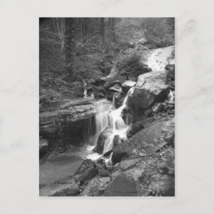 Cartão Postal Climbing the Falls