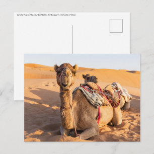 Cartão Postal Close-up de camelo no deserto de Omã