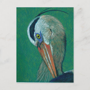 Cartão Postal Closeup Heron