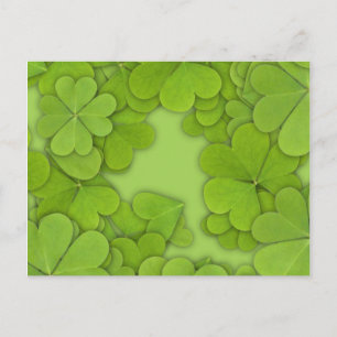 Cartão Postal Clovers Verdes