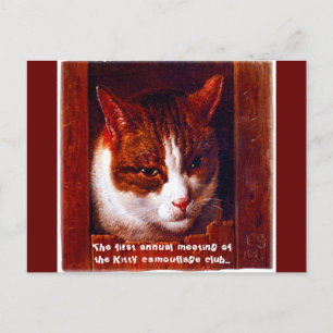 Cartão Postal "clube de camuflagem de Gatinho"