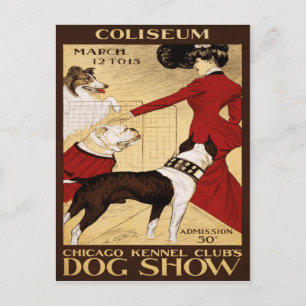 Cartão Postal Clube de Canis de Chicago's Exposição de Cães 1902