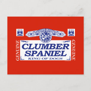 Cartão Postal Clumber Spaniel