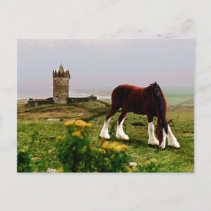 Cartão Postal Clydesdale Castle