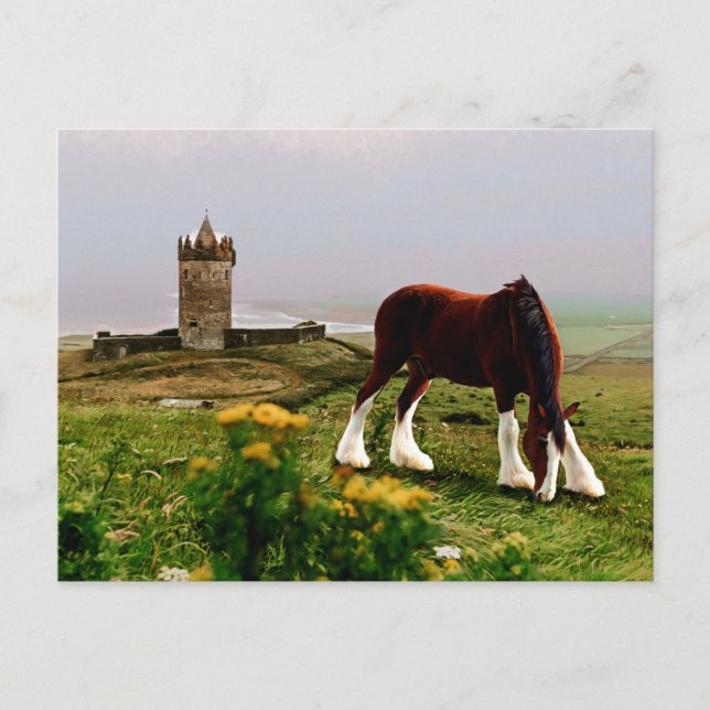 Cartão Postal Clydesdale Castle (Frente)
