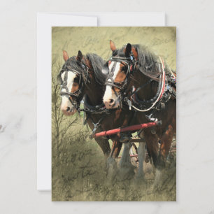 Cartão postal Clydesdale com Vintage Weathered