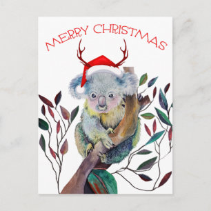 Cartão Postal Coala de Natal vestindo chapéu de Papai Noel