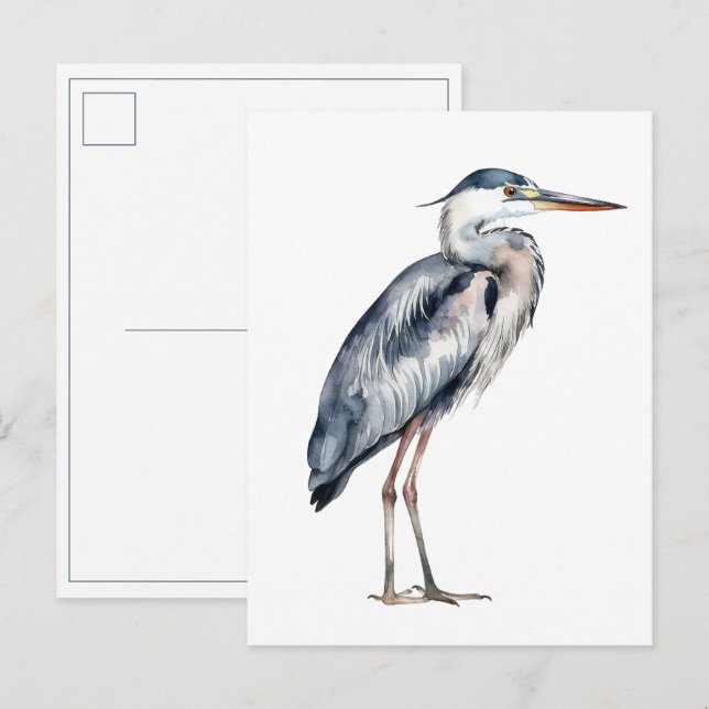 Cartão Postal Coastal Blue Heron Bird (Frente/Verso)