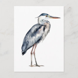 Cartão Postal Coastal Blue Heron Bird