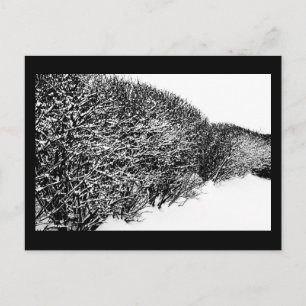 Cartão Postal cobertura do inverno