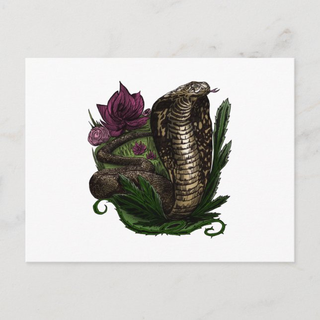 Cartão Postal Cobra (Frente)