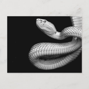 Cartão Postal Cobra
