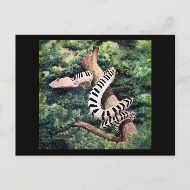 Cartão Postal Cobra de piano (Frente)