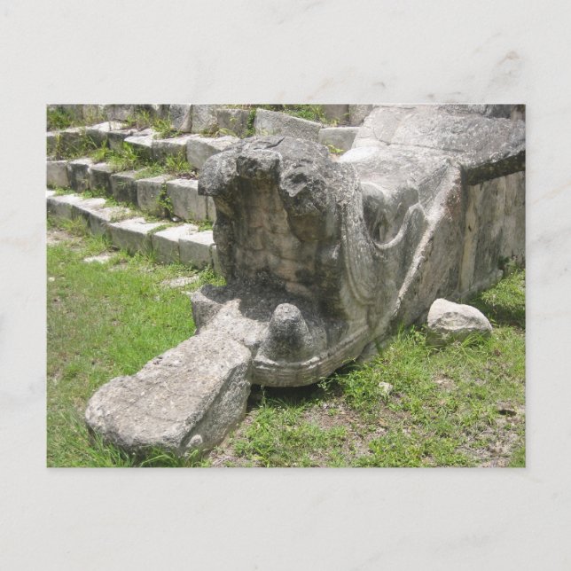 Cartão Postal Cobra maia (Frente)