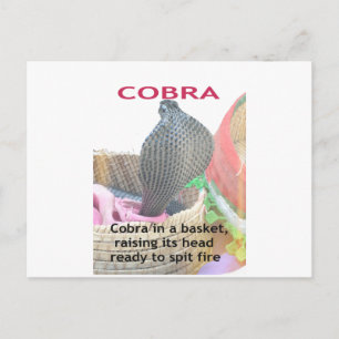 Cartão Postal Cobra no Impressão de Arte de Cesto