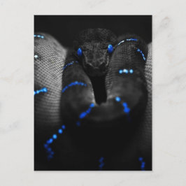 Cartão Postal cobra preto