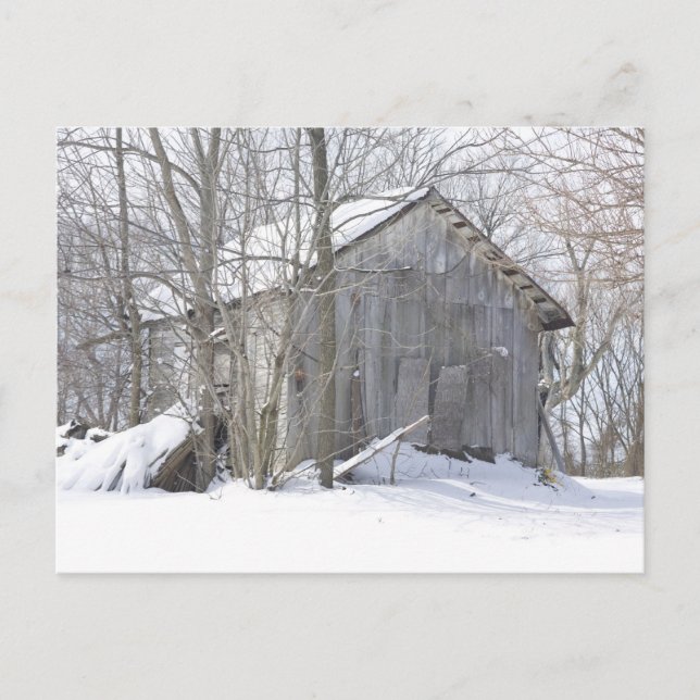 Cartão Postal Cobrir de neve (Frente)