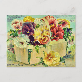 Cartão Postal Cobrir de Pacote de Semente Vintage com Flores de