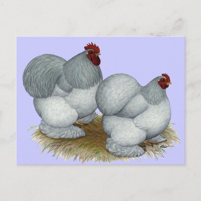 Cartão Postal Cochim:  Azul automático (Frente)