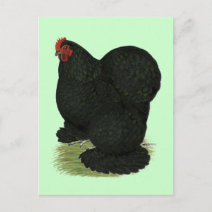 Cartão Postal Cochin: Black Hen
