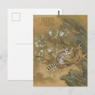 Cartão Postal Cochin Lemur Fine Art