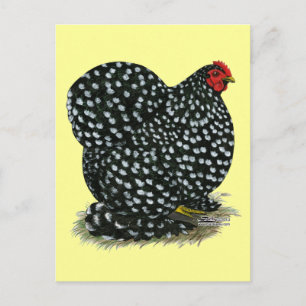 Cartão Postal Cochin Mottled Hen