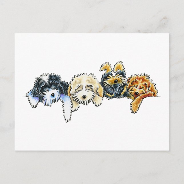 Cartão Postal Cockapoos Sonolentos (Frente)