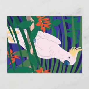 Cartão Postal Cockatoo