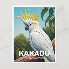Cartão Postal Cockatoo no Parque Nacional de Kakadu, Austrália