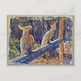 Cartão Postal Cockatoo Prendido de Enxofre Australiano